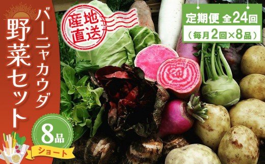 セット 詰合せ 年間定期便24回 バーニャカウダ野菜セットシ…