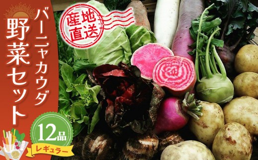 バーニャカウダ野菜セットレギュラー 12品