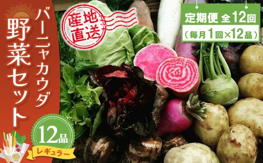 年間定期便12回 バーニャカウダ野菜セットレギュラー 12品 【有機野菜 おまかせ野菜セット イタリア野菜 西洋野菜 定期便】(H078143)