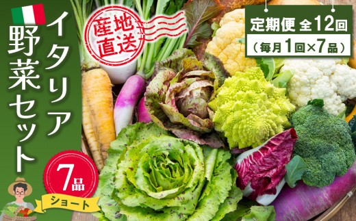 年間定期便12回 イタリア野菜セットショート 7品