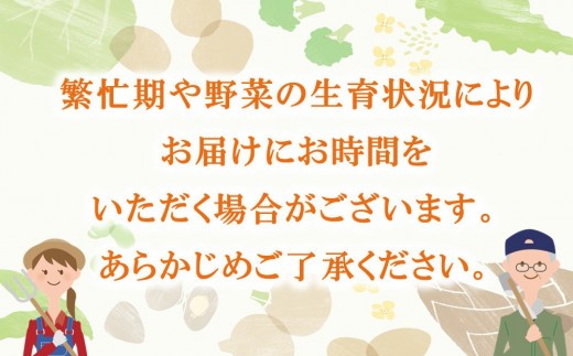 年間定期便12回 イタリア野菜セットショート 7品 【有機野菜 おまかせ野菜セット イタリア野菜 西洋野菜 定期便】(H078146)