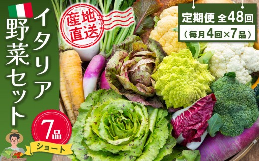 年間定期便48回 イタリア野菜セットショート 7品