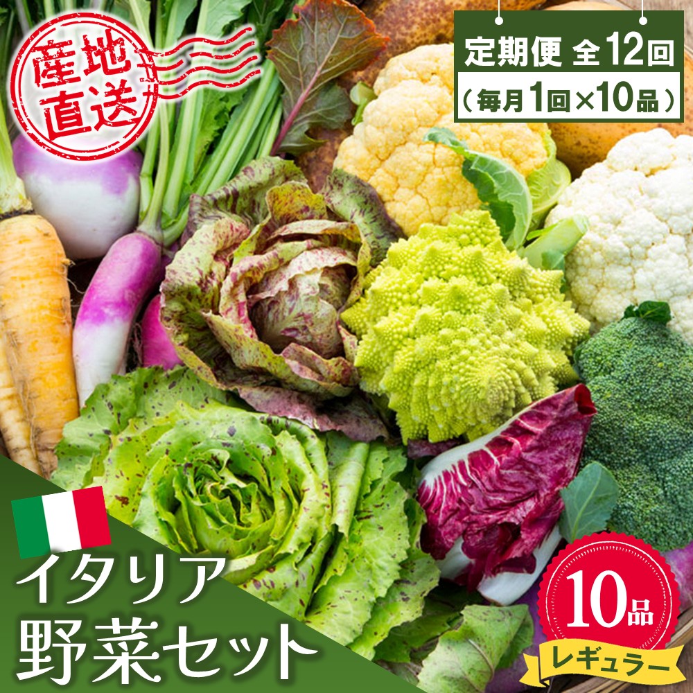 年間定期便12回 イタリア野菜セットレギュラー 10品
