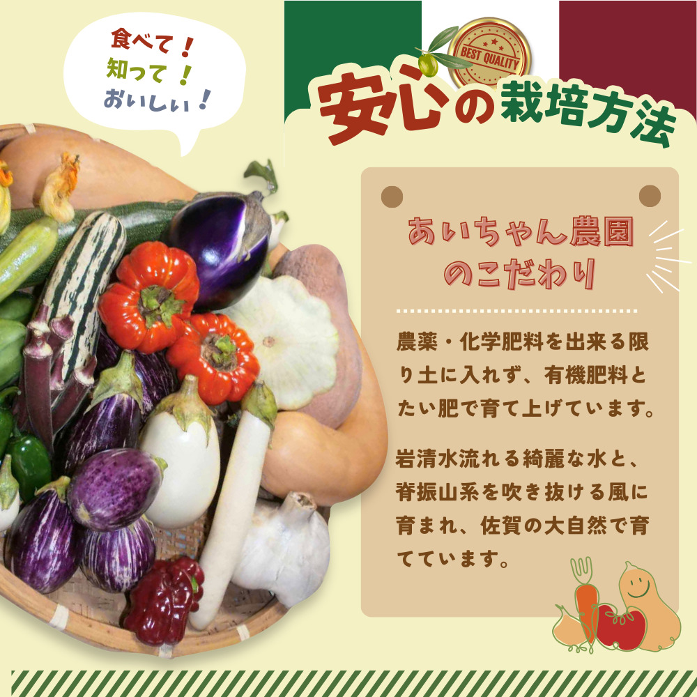 年間定期便12回 イタリア野菜セットレギュラー 10品 【有機野菜 おまかせ野菜セット イタリア野菜 西洋野菜 定期便】(H078149)