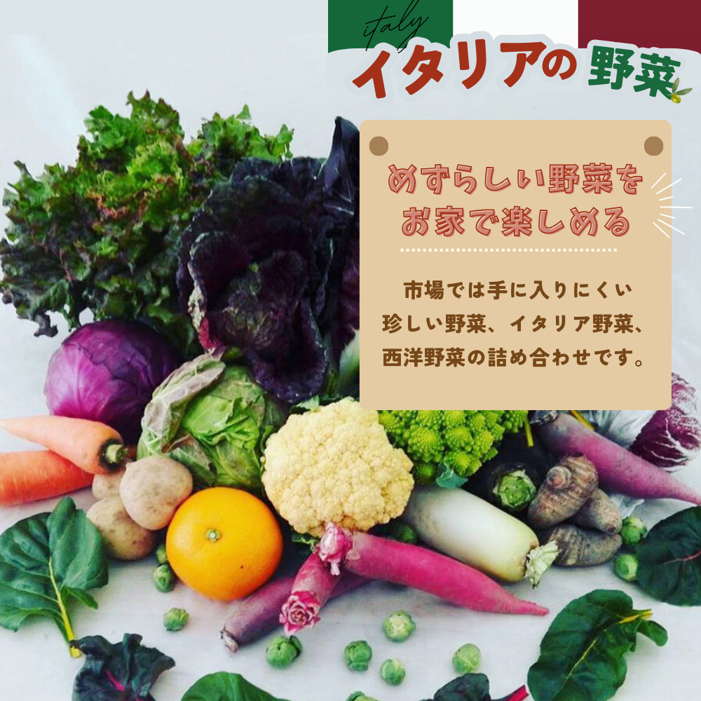 年間定期便12回 イタリア野菜セットレギュラー 10品 【有機野菜 おまかせ野菜セット イタリア野菜 西洋野菜 定期便】(H078149)
