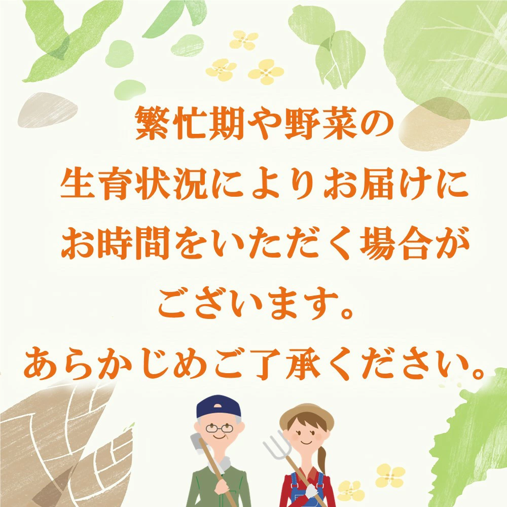 年間定期便12回 イタリア野菜セットレギュラー 10品 【有機野菜 おまかせ野菜セット イタリア野菜 西洋野菜 定期便】(H078149)