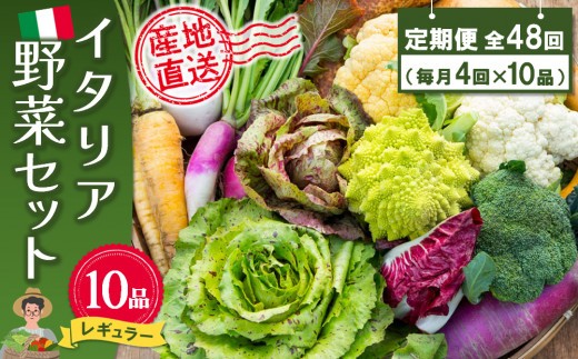 年間定期便48回 イタリア野菜セットレギュラー 10品 【有機野菜 おまかせ野菜セット イタリア野菜 西洋野菜 定期便】(H078151)