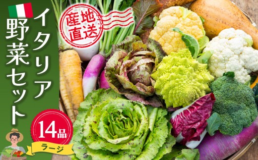 イタリア野菜セットラージ 14品
