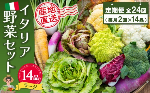 年間定期便24回 イタリア野菜セットラージ 14品 【有機野菜 おまかせ野菜セット イタリア野菜 西洋野菜 定期便】(H078135)