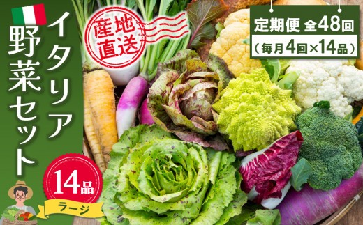 年間定期便48回 イタリア野菜セットラージ 14品 【有機野菜 おまかせ野菜セット イタリア野菜 西洋野菜 定期便】(H078136)