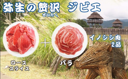 脊振ジビエ イノシシ肉(ロース肉 バラ肉)2品詰合せ800g 【佐賀 佐賀県産 猪 ロース バラ 焼肉 しゃぶしゃぶ 鍋物】(H072185)