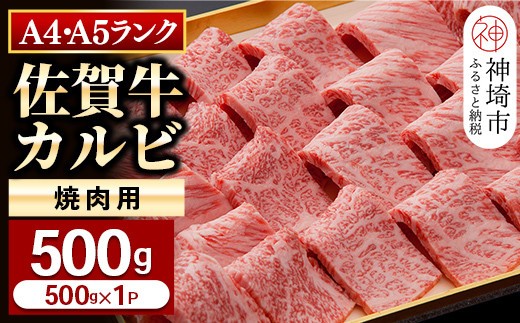 【佐賀牛】カルビ焼肉用500g 【グルメ プレゼント ギフト 肉 牛肉 ブランド牛 国産 和牛】(H081107)
