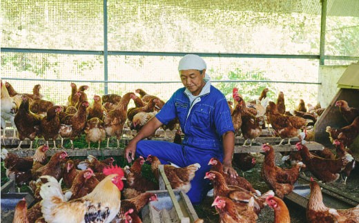 【無添加鶏肉ソーセージ】ありがとウィンナー10袋【国産 神埼産 冷凍 無添加 ウィンナー ソーセージ 自然】(H073112)