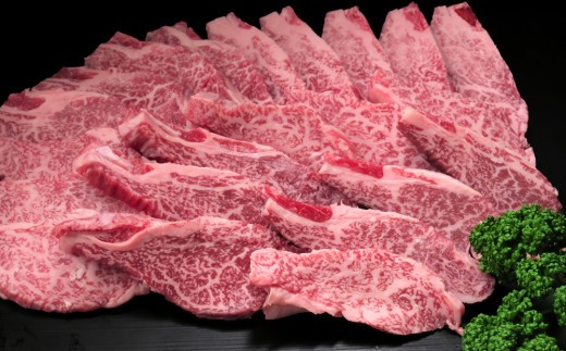 【訳あり】佐賀牛ヒレ焼き肉用600g【牛肉 牛 佐賀牛 不揃い 焼肉 ヒレ 切り落とし 600g】(H065139)