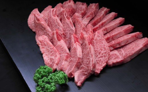 【訳あり】佐賀牛ヒレ焼き肉用600g【牛肉 牛 佐賀牛 不揃い 焼肉 ヒレ 切り落とし 600g】(H065139)