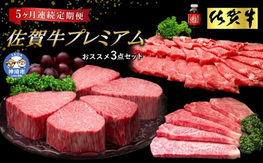 【佐賀牛プレミアム】ヒレシャトーブリアンなどオススメ3点セット【定期便5回】【シャトーブリアン 定期便 5回 サーロインステーキ ステーキ 冷凍 国産 人気 佐賀牛 ブランド牛】(H065140)