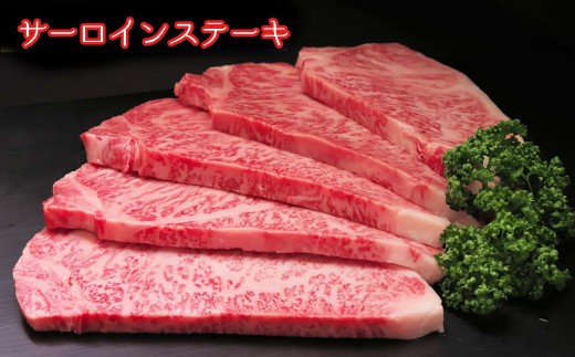 【佐賀牛プレミアム】ヒレシャトーブリアンなどオススメ3点セット【定期便5回】【シャトーブリアン 定期便 5回 サーロインステーキ ステーキ 冷凍 国産 人気 佐賀牛 ブランド牛】(H065140)