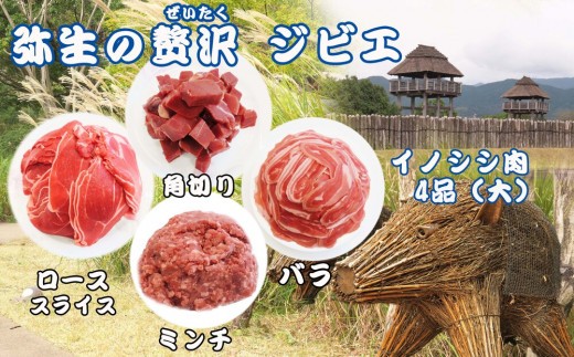 【定期便6回】脊振ジビエ イノシシ肉(ロース バラ 角切り ミンチ)4品詰合せ(大) 【佐賀 佐賀県産 猪 ロース バラ スライス 焼肉 しゃぶしゃぶ 鍋物】(H072132)