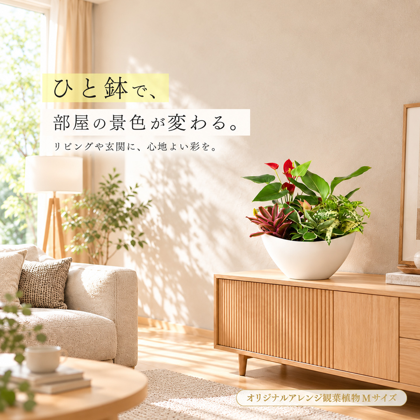 オリジナルアレンジ観葉植物　Mサイズ【寄せ植え インテリア リビング 室内 グリーン 植物 癒し リフレッシュ】 (H086110)