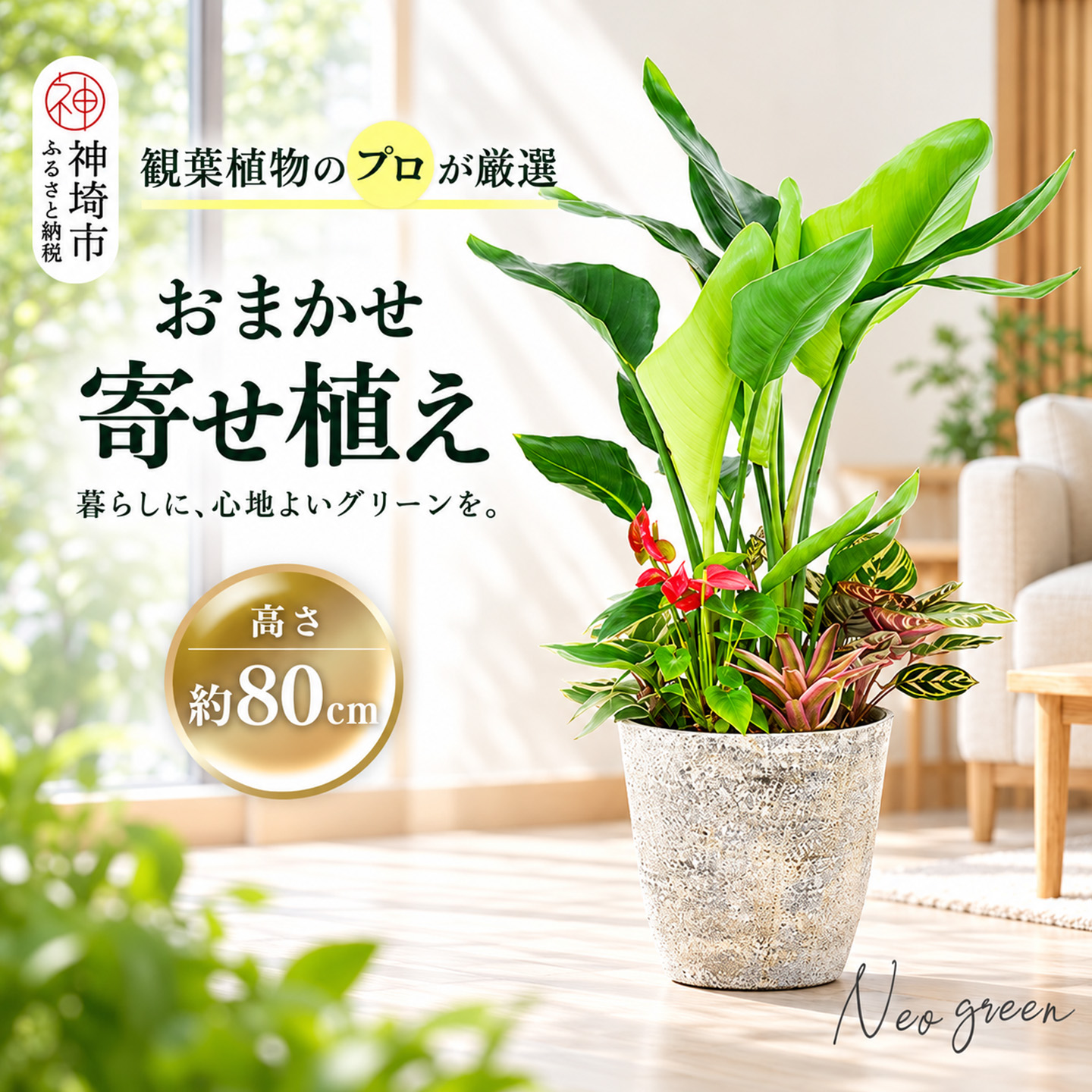 オリジナルアレンジ観葉植物　Lサイズ【寄せ植え インテリア リビング 室内 グリーン 植物 癒し リフレッシュ】 (H086106)