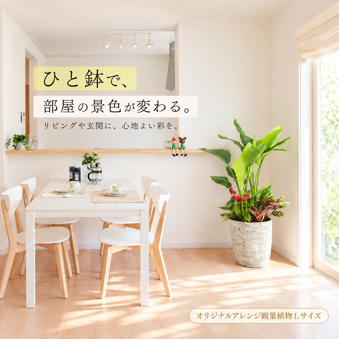 オリジナルアレンジ観葉植物　Lサイズ【寄せ植え インテリア リビング 室内 グリーン 植物 癒し リフレッシュ】 (H086106)