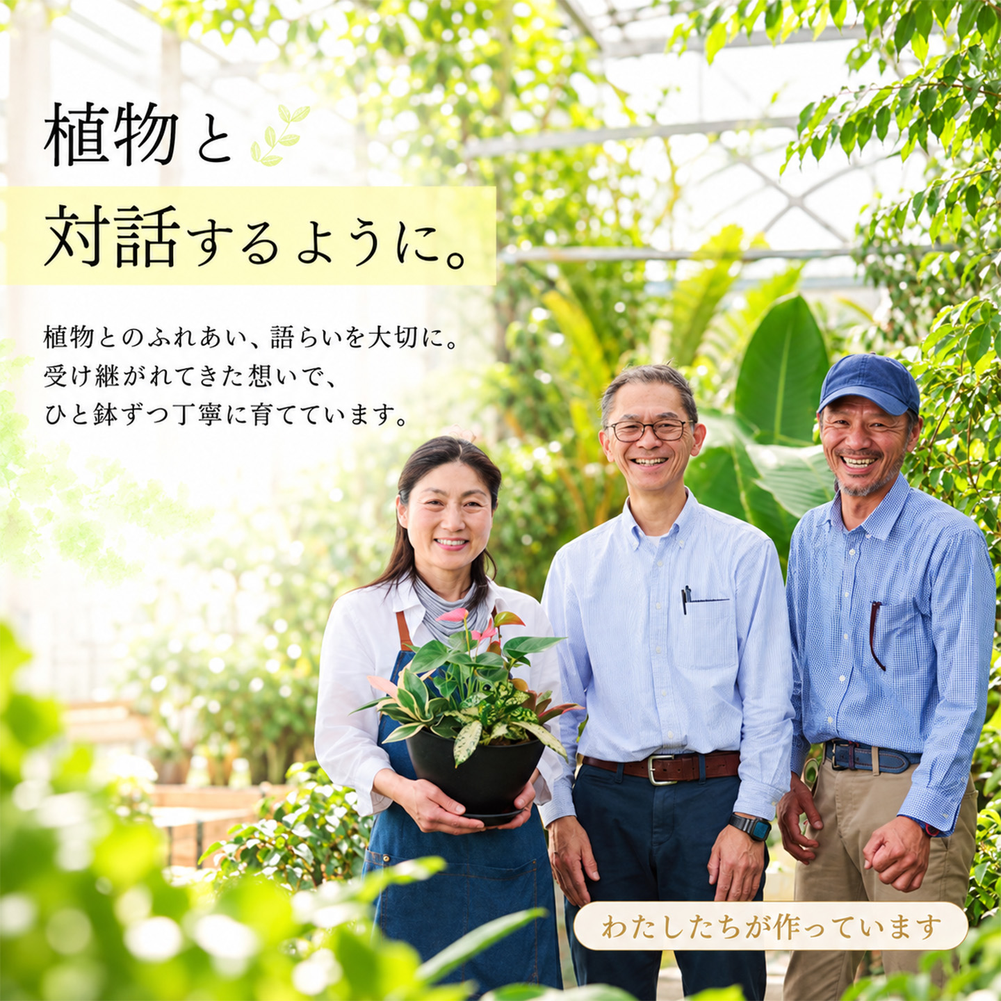 オリジナルアレンジ観葉植物　Lサイズ【寄せ植え インテリア リビング 室内 グリーン 植物 癒し リフレッシュ】 (H086106)
