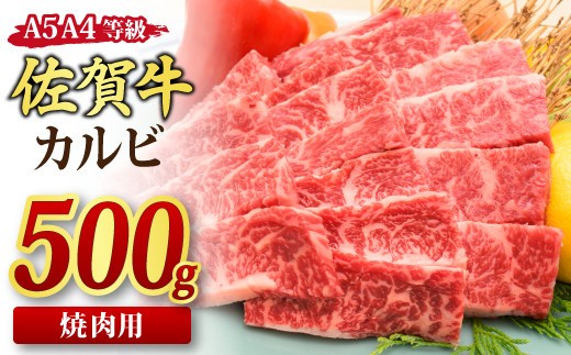 【スピード発送】佐賀牛 カルビ 焼肉用 500g A5 A4 【希少 国産和牛 牛肉 肉 牛 焼肉】(H085176)
