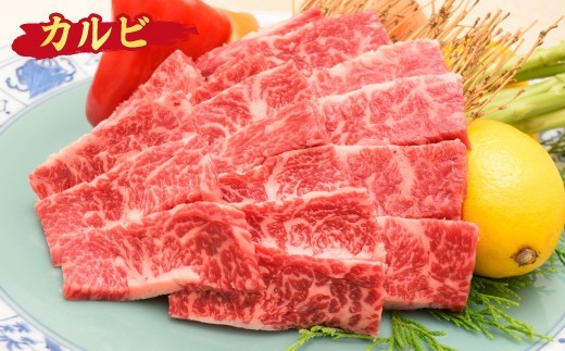 【スピード発送】佐賀牛 カルビ 焼肉用 800g A5 A4 【希少 国産和牛 牛肉 肉 牛 焼肉】(H085191)