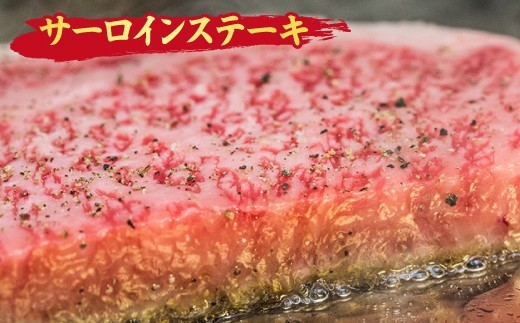 【スピード発送】佐賀牛 サーロインステーキ 300g×1枚 A5 A4 【希少 国産和牛 牛肉 肉 牛 ステーキ】(H085181)
