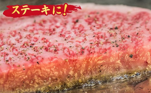 【スピード発送】【2回定期便】 佐賀牛 ひとりで贅沢 お楽しみ便 (合計1.15kg) 【ステーキ ヒレ サーロイン 肩ロース すき焼き用 カルビ 焼肉用 牛肉 肉 国産和牛 】(H085148)