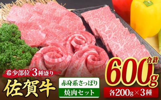 【スピード発送】【4回定期便】 佐賀牛 まるごと欲張り お楽しみ便(合計3kg)【希少 国産和牛 牛肉 肉 ヒレ サーロイン ロース ステーキ 特選 すき焼き】(H085146)