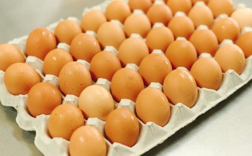 えこびと農園のとろけるはちみつプリン 5個セット 【スイーツ プリン県佐賀 プリンマップ 生はちみつ 佐賀県産はちみつ はちみつプリン α-リノレン酸 おすすめ 手作り 無添加】(H037140)