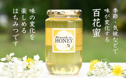 【数量限定】2025年産 国産天然蜂蜜(春の蜜)300g & 280g【合計580g】【蜂蜜 パンケーキ ヨーグルト 甘み フルーティ とろとろ】(H049127)
