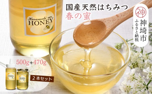 2025年産 天然蜂蜜 春の蜜 500g