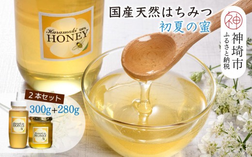 【数量限定】国産天然蜂蜜（初夏の蜜）300g & 280g【合計580g】【蜂蜜 パンケーキ ヨーグルト 甘み フルーティ とろとろ】(H049128)