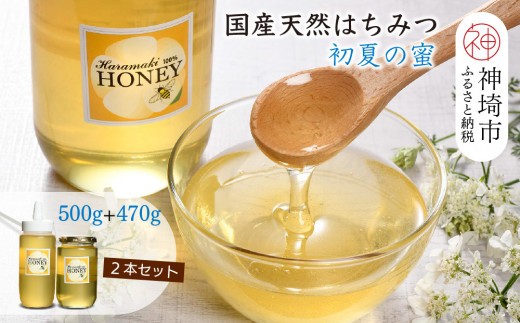 【数量限定】国産天然蜂蜜（初夏の蜜）500g & 470g【 合計970g 】【蜂蜜 パンケーキ ヨーグルト 甘み フルーティ とろとろ】(H049117)
