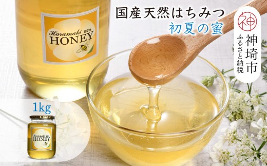【数量限定】国産天然蜂蜜（初夏の蜜）1kg【蜂蜜 パンケーキ ヨーグルト 甘み フルーティ とろとろ】(H049118)