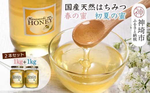 【春の蜜 & 初夏の蜜セット】国産天然蜂蜜 春の蜜1kg & 初夏の蜜1kg【合計2kg】【蜂蜜 パンケーキ ヨーグルト 甘み フルーティ とろとろ】(H049121)