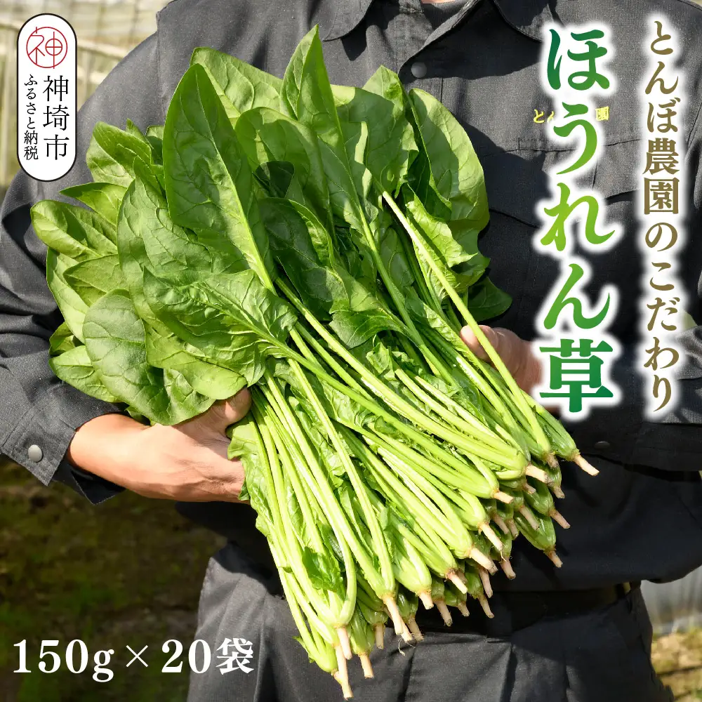ほうれん草 約3kg