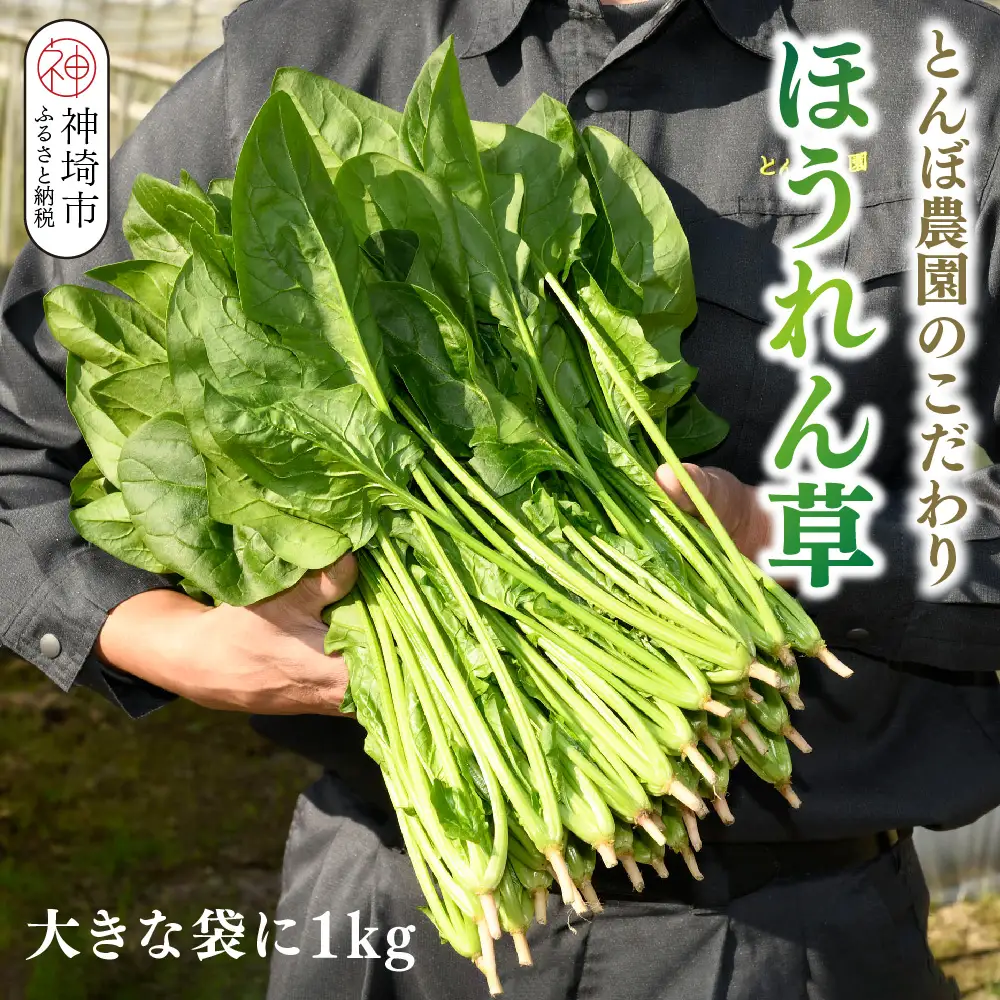 ほうれん草 1kg