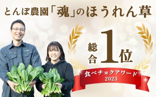 ほうれん草 2kg バラ詰め(大きな袋に2kg)【ハウス栽培 産地直送 クール便 佐賀県脊振山麓産】(H091117)