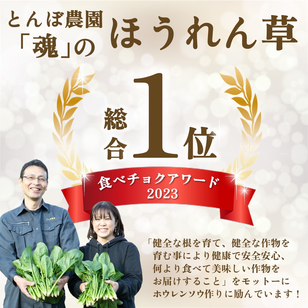 ほうれん草 2kg バラ詰め(大きな袋に2kg)【ハウス栽培 産地直送 クール便 佐賀県脊振山麓産 ほうれん草 ホウレンソウ 野菜 葉物 こだわり野菜 冷蔵 子供 成長 離乳食】(H091117)