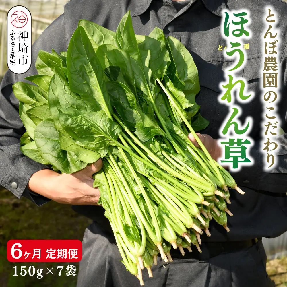 ほうれん草 約1kg