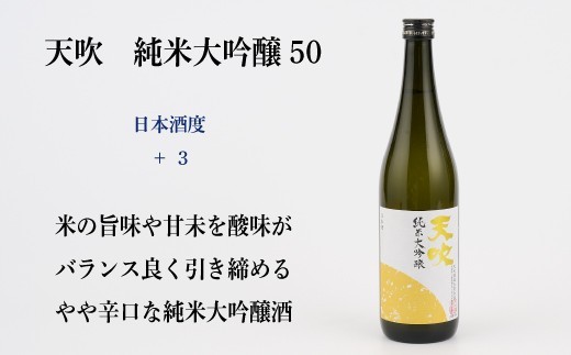 TheSAGA認定酒 純米大吟醸酒おまかせ2本 定期便3回【佐賀認定酒 720ml 佐賀 佐賀ん酒 日本酒 冷酒 熱燗 飲み比べ 贈答】(H072154)