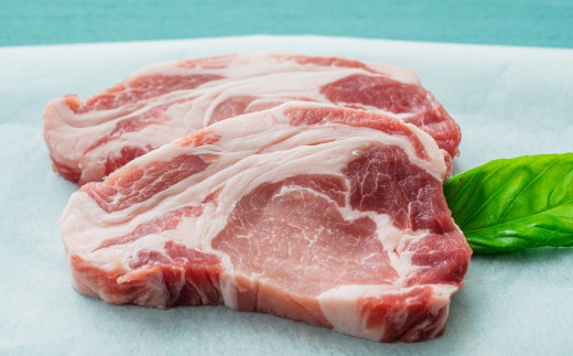 佐賀県自慢の肥前さくらポーク とんかつ用 ロース【120g×6枚】 【佐賀県産 国産 豚肉 ブタ トンカツ かつ丼 カツカレー ブランド やわらか 肥前 ロース ブランド 冷凍】(H081141)