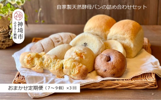 【定期便3回】自家製天然酵母パンの詰め合わせセット【パンと器のコネル】【パンと器のコネル 全粒粉 もっちりベーグル 国産小麦 パン 自家製 天然酵母 玄米麹 朝食 おやつ】(H094117)