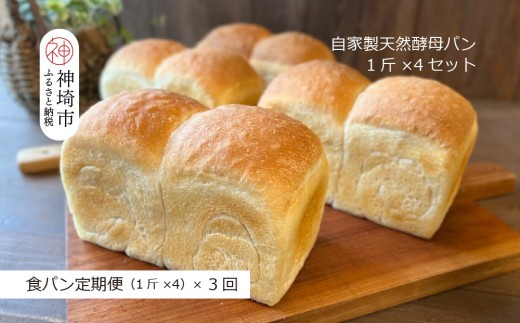 【定期便3回】自家製天然酵母の食パン 4斤【パンと器のコネル】【パンと器のコネル 国産小麦 パン 自家製 天然酵母 玄米麹 朝食 おやつ】(H094126)