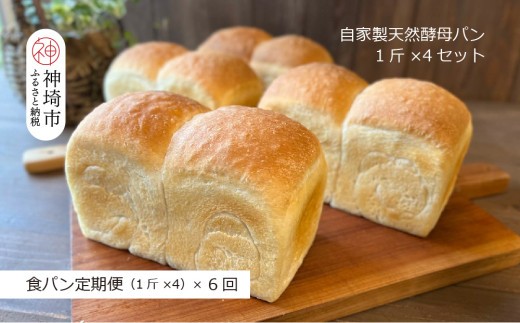 【定期便6回】自家製天然酵母の食パン 4斤【パンと器のコネル】【パンと器のコネル 国産小麦 パン 自家製 天然酵母 玄米麹 朝食 おやつ】(H094127)