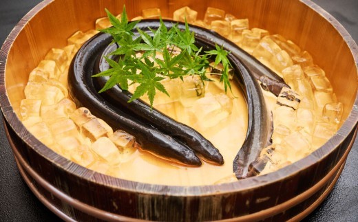 【9月末で受付終了】【職人手焼き】国産特大うなぎ蒲焼2尾(1尾あたり約170g前後)【国産 特大 うなぎ 鰻 ウナギ ふっくら 柔らか 鰻重 きざみ鰻 うなぎのせいろ蒸 タレ付】(H097113)