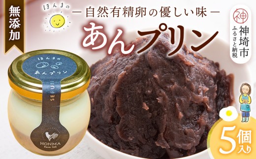 本間農園の無添加あんプリン5個セット 【スイーツ 平飼い 無添加 有精卵 ミルン牧場 牛乳 プリン県 プリンマップ】(H073114)